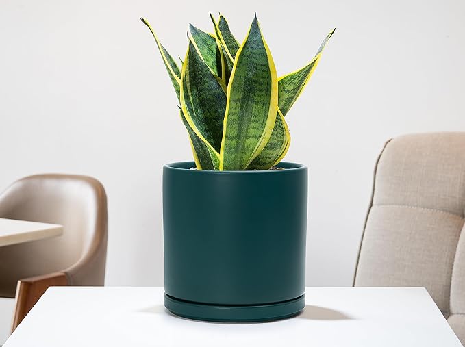 D'vine Dev 4.6 Inch & 6 Inch Ceramic Planter Pots for Plants with Drainage Hole and Saucer, Small Plant Pots Set, Teal, 94-G-S-9