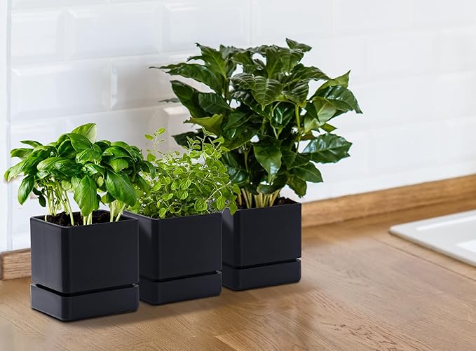 4 Inch Herb Planter Pot, Plastic Planter with Drainage Holes and Saucer, Modern Decorative Gardening Pot for Indoor Plants, Flowers, Herbs, Succulents, Black, Set of 3, 76-Y-B-3