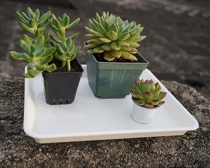 4 Pack Plant Saucer Tray Rectangular, Plant Saucers for Indoors, Heavy Sturdy Plastic Plant Drainage Trays, Plant Drip Trays for Pots, Seed Starter Growing Tray (11 x 9, Creamy White)