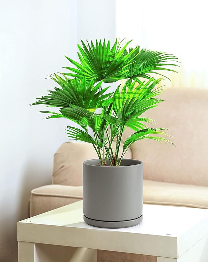 D'vine Dev 8 Inch & 10 Inch Ceramic Planter Pot for Plants with Drainage Hole and Saucer, Large Plant Pots Set, Grey, 94-G-L-3