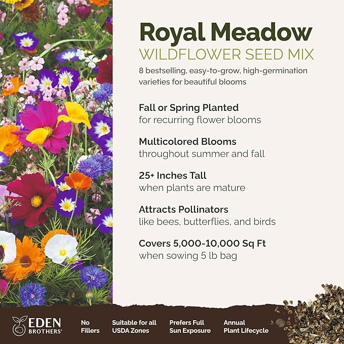 Eden Brothers Royal Meadow Flower Mixed Seeds for Planting, 5 lb, 2,400,000+ Seeds with Morning Glory, African Daisy | Attracts Pollinators, Plant in Spring or Fall, Zones 3, 4, 5, 6, 7, 8, 9, 10