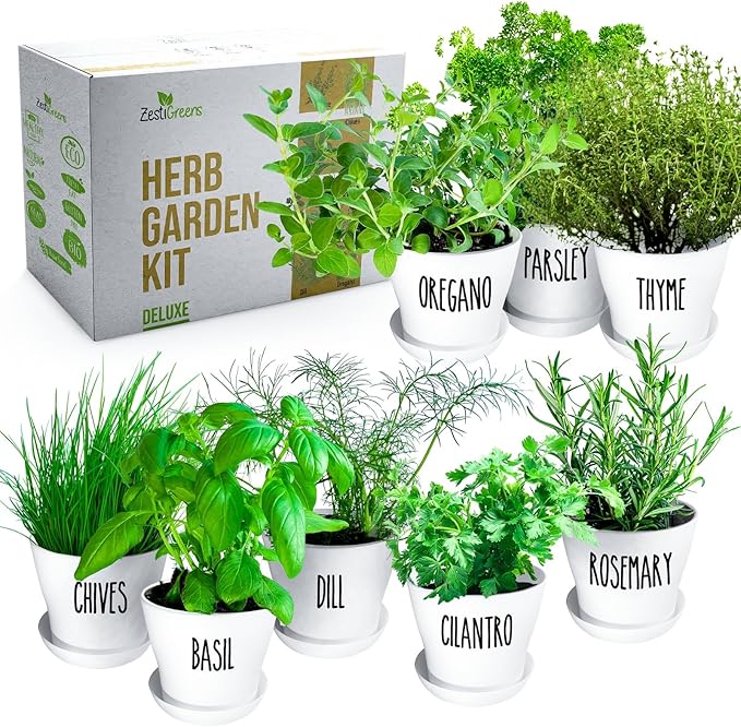 Deluxe Indoor & Outdoor Herb Garden Kit – 8 or The Most Popular Culinary Herbs with Pots & Soil for Windowsill or Patio Growing
