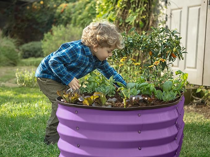 Galvanized Raised Garden Beds Outdoor // 4×2×1 ft Planter Raised Beds for Gardening, Vegetables, Flowers (Purple) // Large Metal Garden Box