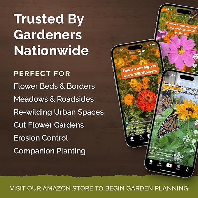 Eden Brothers All Perennial Wildflower Mixed Seeds for Planting, 5 lb, 2,400,000+ Seeds with Lupine, Shasta Daisy| Attracts Pollinators, Plant in Spring or Fall, Zones 3, 4, 5, 6, 7, 8, 9, 10