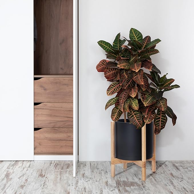 D'vine Dev Planter Pot with Stand - 12 Inch Plastic Cylinder Flower Pot with Wood Planter Holder for Indoor, Matte Black Pot + Natural Stand, 55-C-P-2