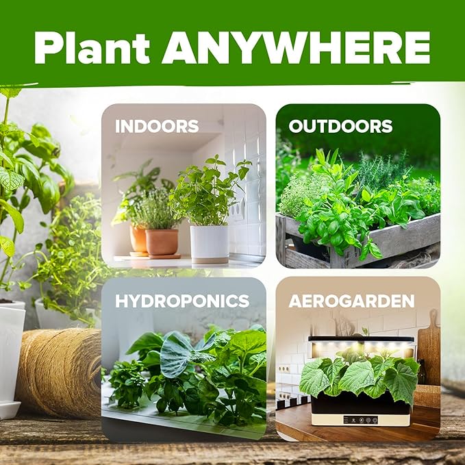 HOME GROWN 5 Herb Seeds for Planting 2,150+ Non-GMO Heirloom Seeds | Extra Large Variety Pack Herb Kit – Indoor Outdoor & Hydroponic | Culinary Seed Set | Grow Your Own Herbs | Gift for Beginners