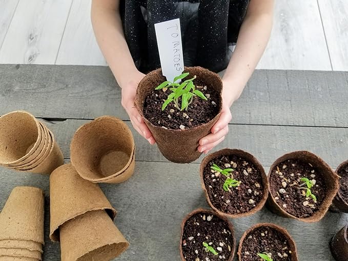 Daniel's Plants 4" Naked Pots | Large Natural Plantable Seed Starter Pots | OMRI-Listed Biodegradable Pots for Seedlings | Enhanced Aeration | Earth Friendly - Peat Free | 10 Pack 4 Inch Round