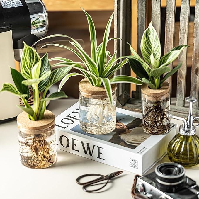 Glass Plant Propagation Stations for Plants – Set of 4(4 Large & 4 Small) Hydroponic Vases for Plant Cuttings,Flower Arrangements, Home & Office Decor–Desktop Vases for Living Room, Bedroom (8)