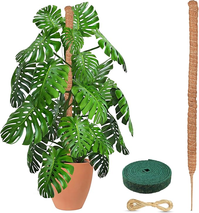 EcoNour Moss Pole for Plants – 48 inches | Monstera Plant Support for Plant Climbing and Growth | Elevate Your Indoor Garden, Plant Support for Indoor Potted Plants to Grow Upwards