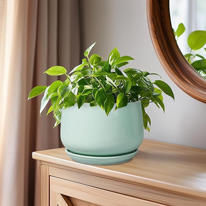 G EPGardening Ceramic Plant Pots - 6 Inch Pot for Plants, Ceramic Planter with Drainage and Saucer, Flower Indoor Outdoor Planter, Modern Bathroom Decor, Birthday Gifts, Green