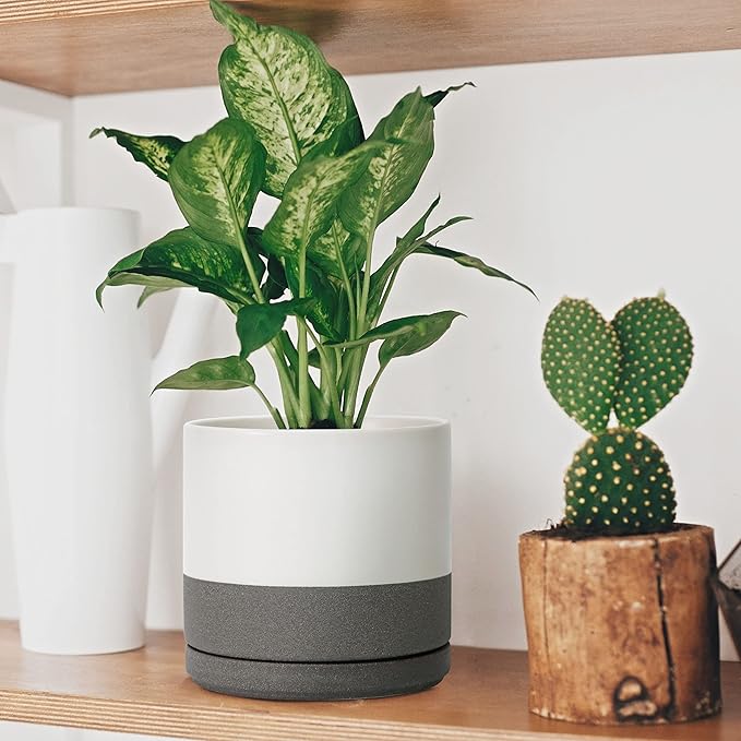 D'vine Dev 8 Inch & 10 Inch Ceramic Planter Pot for Plants with Drainage Hole and Saucer, Large Plant Pots Set, White/Speckled Grey, 94-G-L-6