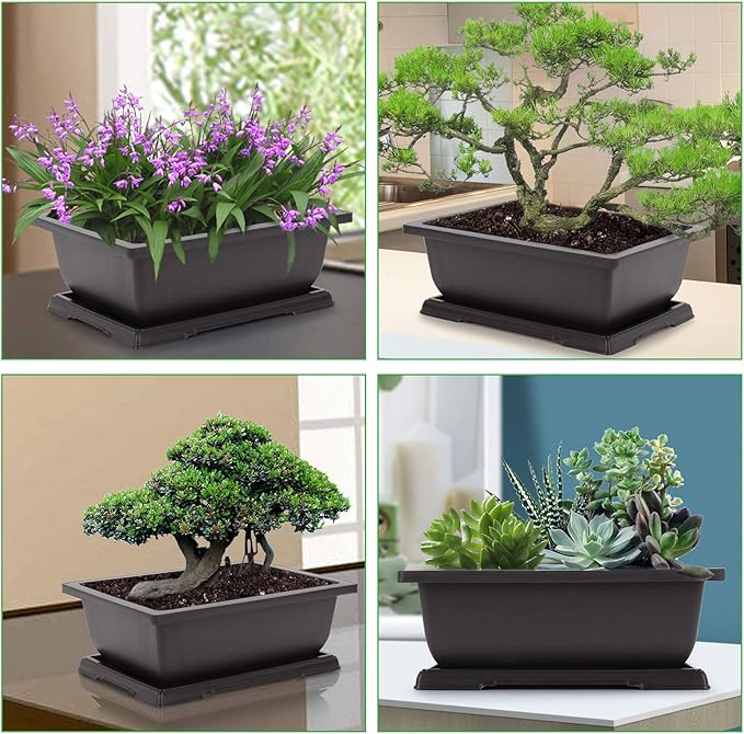 GROWNEER Bonsai Pots 3 Packs 11 Inch Bonsai Training Pot with Humidity Trays and Repotting Mat Tree Starter Kit Growing Planter for Garden Yard Office Indoor Outdoor