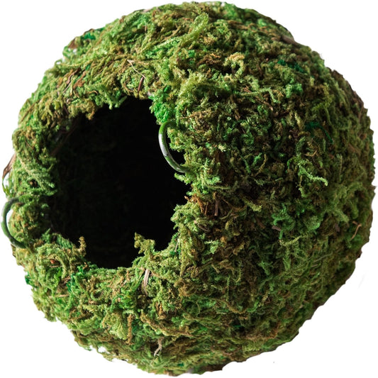 Galápagos (05346) Mossy Cave Hide, 4", Green