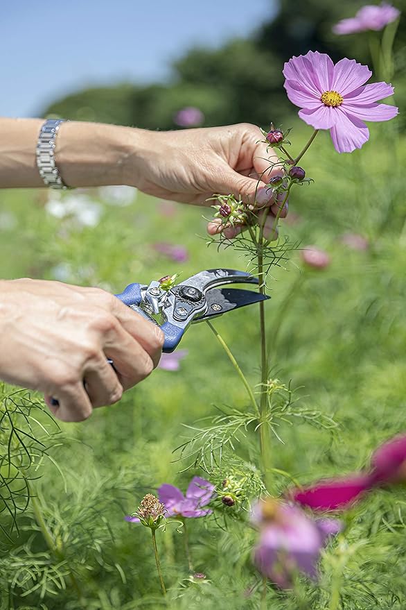 6 Piece Stainless Steel Heavy Duty Garden Tools Set, with Ash Wood Handle and Non-Slip Rubber Grip Pruner, Premium Canvas and Leather Storage Tote Bag, Outdoor Hand Tools, Garden Gift