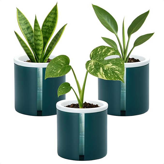 D'vine Dev 4 Inch Design Self Watering Planter for Indoor Plants, White Terracotta Pot with Teal Cylinder Glass Cup, Set of 3,37-Z-A-5-T