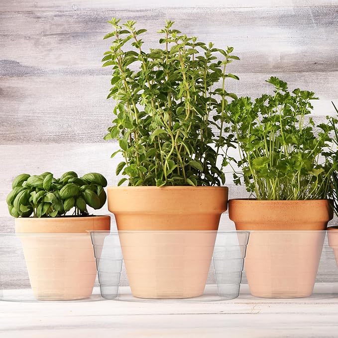 Hoolerry Plastic Plant Saucer Clear Deep Drip Tray Thickened Clear Plant Saucers Trays for Pots Deep Drip Trays for Home Garden Indoor and Outdoor Potted(15 Pcs,12 Inch)