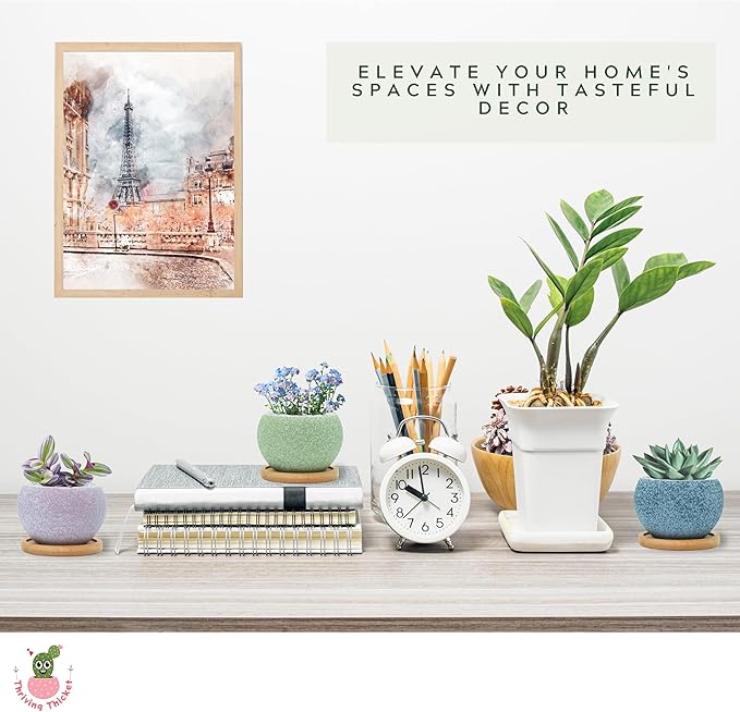 3 inch Ceramic pots for Plants, Small Succulent Pots Set with Drainage, 6 Pack Flower Pot for Indoor Plant, Decorative Planters for Little or Mini Cactus