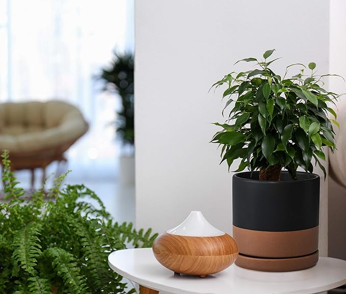 D'vine Dev 6 Inch Ceramic Planter Pot with Drainage Hole and Saucer, Indoor Cylinder Round Planter Pot, Black/Speckled Tan, 94-O-C-7