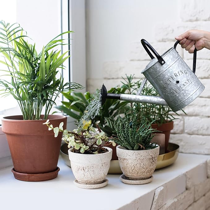 Galvanized Watering Can for Outdoor Indoor Plants, 1 Gallon Decorative Countryside Style Water Can with Removable Spout, Perfect Metal Watering Can for Indoor Plants and Garden Flower