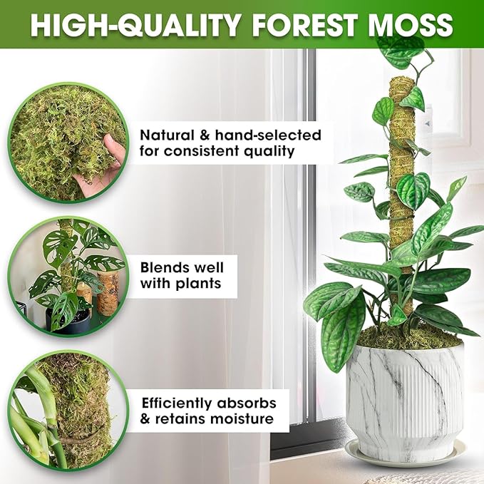 DUSPRO Natural Stackable Moss Pole for Plants Monstera Potted Plant Stakes for Indoor Plants Extendable Plant Pole Moss Sticks for Plants Climbing Vine Supporting Monstera Trellis 10Pcs 22''
