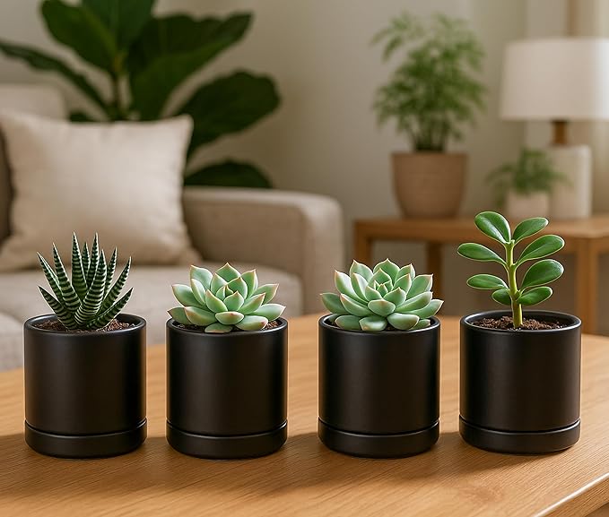 D'vine Dev Set of 4 Small Ceramic Plant Pots, 3.5 Inch Succulent Planter Pot for Plants with Drainage Hole and Saucer, Black, 94-X-A-2