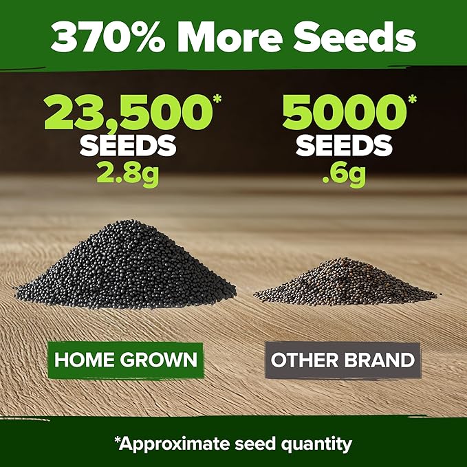 HOME GROWN 23,500+ Moss Rose Seeds (Bulk Pack) Annual Flower for Ground Cover - Heirloom 𝗡𝗢𝗡-𝗚𝗠𝗢 Portulaca Seeds for Planting Outdoors - Great for Low-Maintenance Gardens (Portulaca grandiflora)