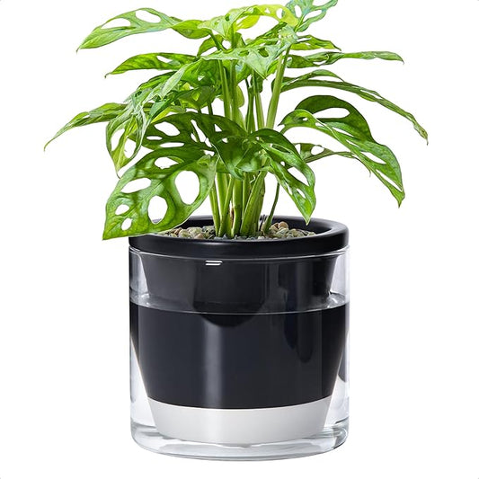 D'vine Dev 6 Inch Design Self Watering Planter for Indoor Plants, Black Terracotta Pot with Cylinder Glass Cup, 37-X-B-3