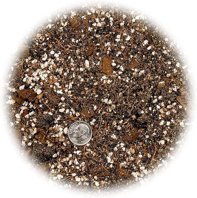 Fiddle Leaf Fig House Plant Soil Premium All Purpose Blend - Peat Moss, New Zealand Bark, Coco Chips and Fibers, Perlite - 2 Quart Bag