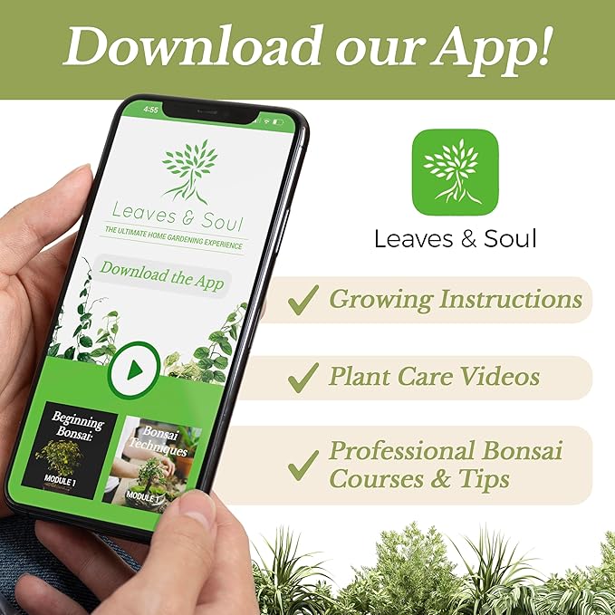 Extra Large 8.2 QT Bag Succulent Soil Premium All Purpose Blend | Pre-Mixed Ready to Use for Cactus and Succulents | Canadian Peat, Course Sand, Pinebark | Made in USA