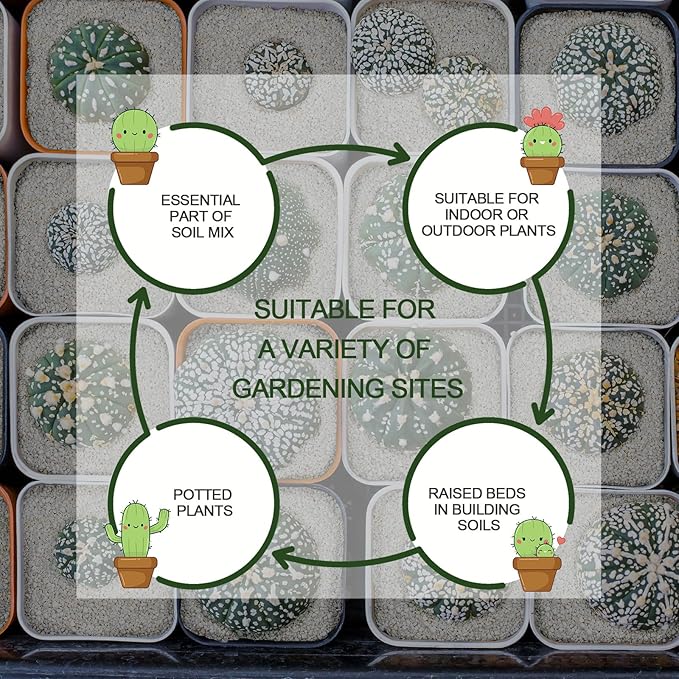 20QT Horticultural Perlite Bulk, Organic Perlite for Plants, Course Perlite for Gardening, for Plants Indoor, for Houseplants, to Promotes Soil Root Growth, and Water Drainage and Plant Growth(3-6mm)