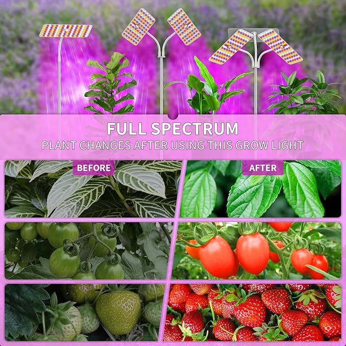 Grow Lights with Base, Double Head, Full Spectrum LED Grow Light for Indoor Plants, 240 Leds, 4 Dimmable Levels, Timer 4/8/12h, 12-60inches Height Adjustable, 36w, Ideal for Desk Small Plants