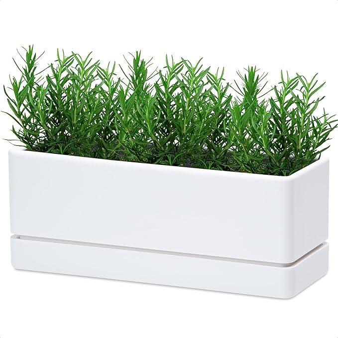 D'vine Dev 12 Inch Window Box Planter, Rectangle Plastic Herb Planter with Drainage Holes and Saucer, Indoor Succulent Cactus Vegetable Pot for Windowsill, Garden Balcony, White, Set of 1, 76-X-A-1