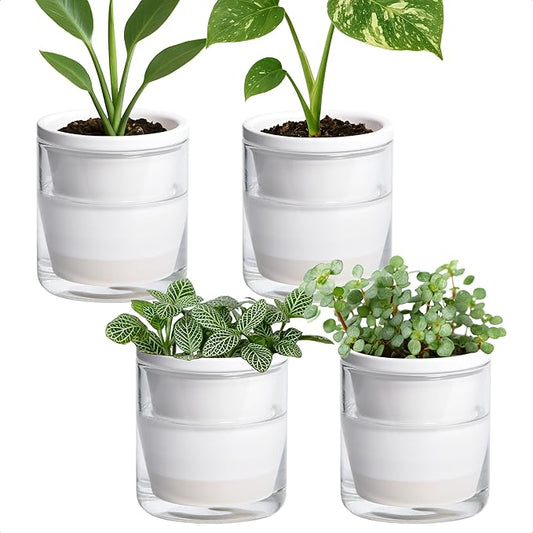 D'vine Dev 4 Inch Design Self Watering Planter for Indoor Plants, White Terracotta Pots with Cylinder Glass Cup, Set of 4, 37-Z-A-2-F