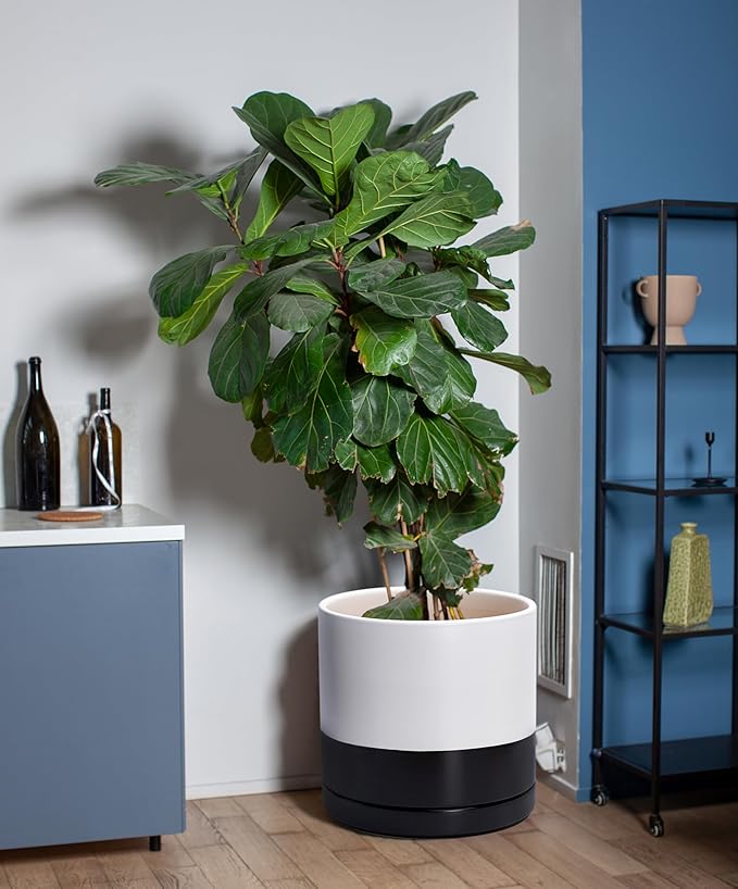 D'vine Dev 12 Inch Ceramic Planter Pot with Drainage Hole and Saucer, Indoor Cylinder Round Planter Pot, Layered Monochrome Black & White, 94-O-F-L