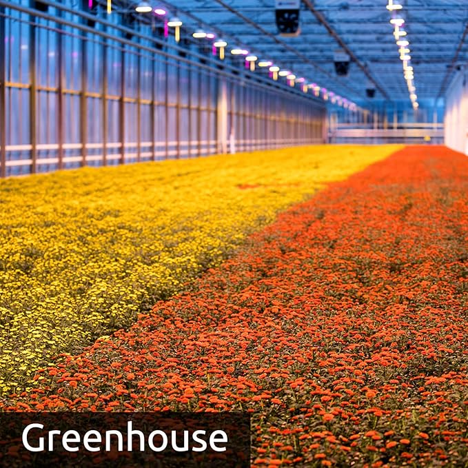 5-in-1 EarthScout Soil Cub Commercial Grade Precision Soil Moisture Meter: Soil Moisture/Soil Temp/Soil EC/Air Temp/Humidity. Irrigation:Farm,Golf,Orchard,Nursery,Garden,Landscape,Research,Education