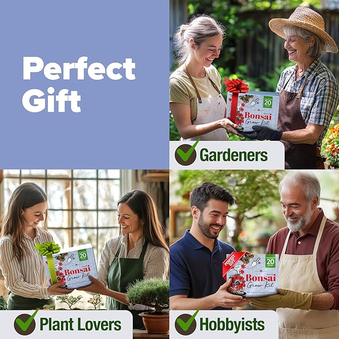 HOME GROWN Bonsai Tree Kit - Premium Ceramic Starter Kit - 4 Variety of Bonsai - Unique Gift for Men and Women Gardeners (BK2-2nd-MF)