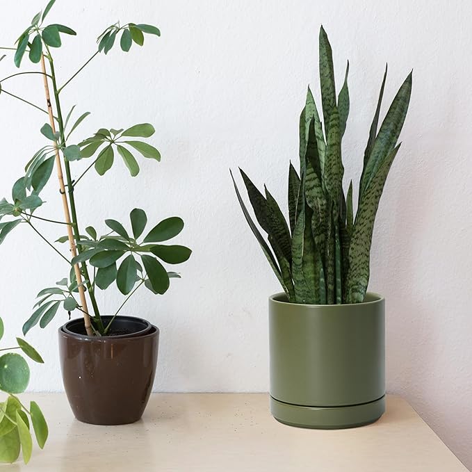 D'vine Dev Set of 2 Plants Pots, 6.5 Inch Ceramic Planter Pot for Plants with Drainage Hole and Saucer, Olive, 94-V-C-J