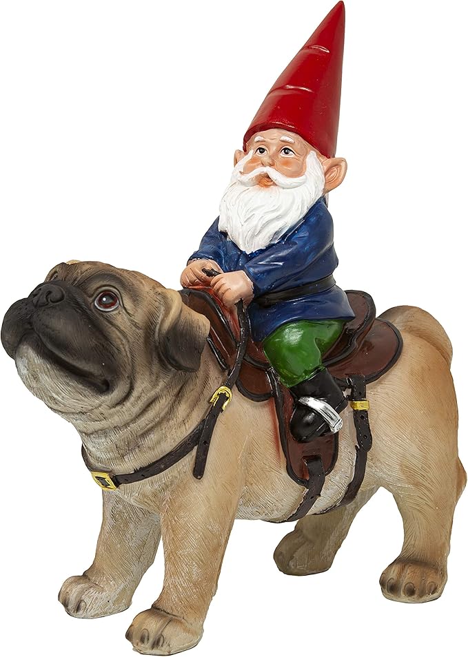 Funny Guy Mugs Garden Gnome Statue - Gnome Riding a Pug - Indoor/Outdoor Garden Gnome Sculpture for Patio, Yard or Lawn