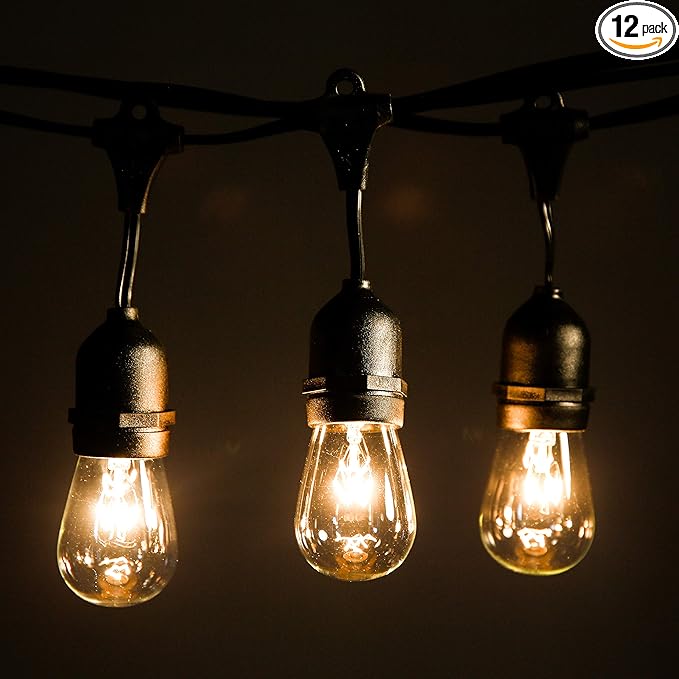 Hometown Evolution, Inc. 24 Foot E26 Outdoor Commercial String Lights with Suspended Socket for Weatherproof Heavy Duty Vintage Outside Lighting - Set of 12 S14 Clear Bulbs