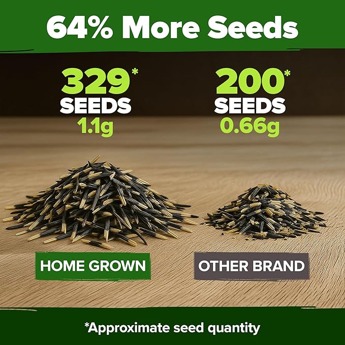 HOME GROWN 𝗨𝗦𝗔 𝗣𝗥𝗘𝗠𝗜𝗨𝗠 Petite French Marigold Seeds 329+ Flower Seeds for Planting Outdoors Easy to Grow Companion Plant & Quick Blooming Pollinator Heirloom Wildflower Seed (Tagetes patula)