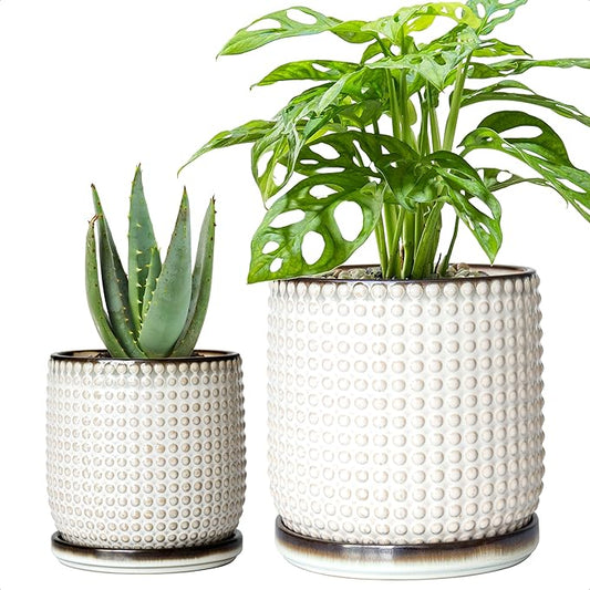D'vine Dev 6 Inch 4 Inch Ceramic Indoor Planter Pots with Drainage Hole and Saucer, Beaded Design Flower Pots, Set of 2, Smoked White, 27-D-U-1