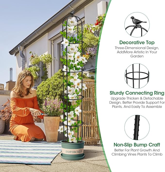 2 Pcs Garden Trellis for Climbing Plants, 6.2 Ft Rustproof Metal Pipe with Heavy Duty Plastic Coated, Garden Outdoor Indoor Potted Plant Support, Obelisk Garden Trellis for Climbing Vine