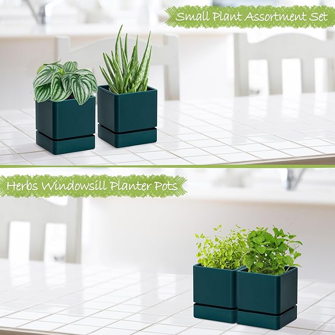 4 Inch Herb Planter Pot, Plastic Planter with Drainage Holes and Saucer, Modern Decorative Gardening Pot for Indoor Plants, Flowers, Herbs, Succulents, Green, Set of 2, 76-Y-C-2