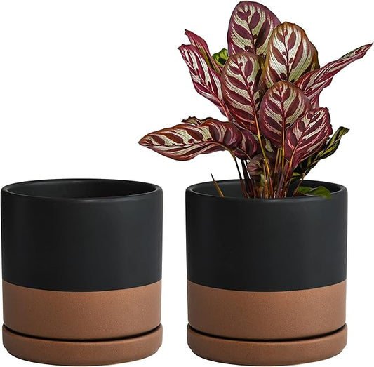 D'vine Dev Set of 2 Plants Pots, 6 Inch Ceramic Planter Pot for Plants with Drainage Hole and Saucer, Black/Speckled Tan, 94-V-C-7