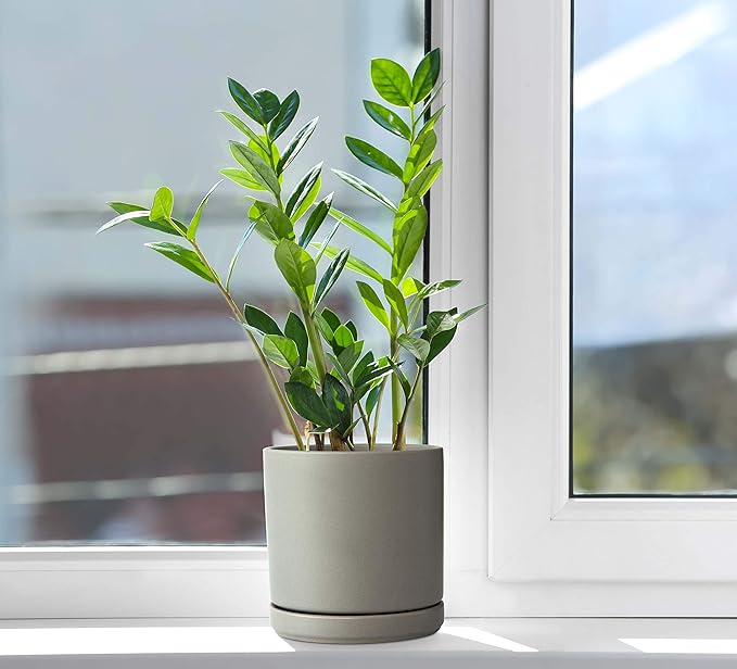 D'vine Dev 6 Inch Ceramic Planter Pot with Drainage Hole and Saucer, Indoor Cylinder Round Flower Pot, Grey, 94-O-C-3