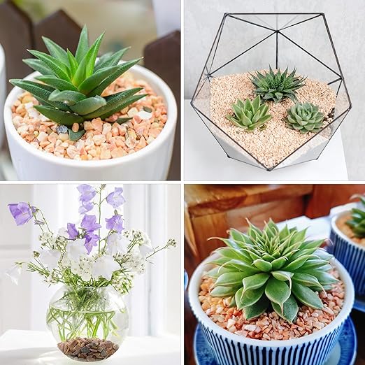 5lbs Peach Pebbles for Plants, 3/8inch Small Rocks for Succulent Cactus Plants, Natural Polished Pebbles, River Rocks for Plants, Vases, Garden