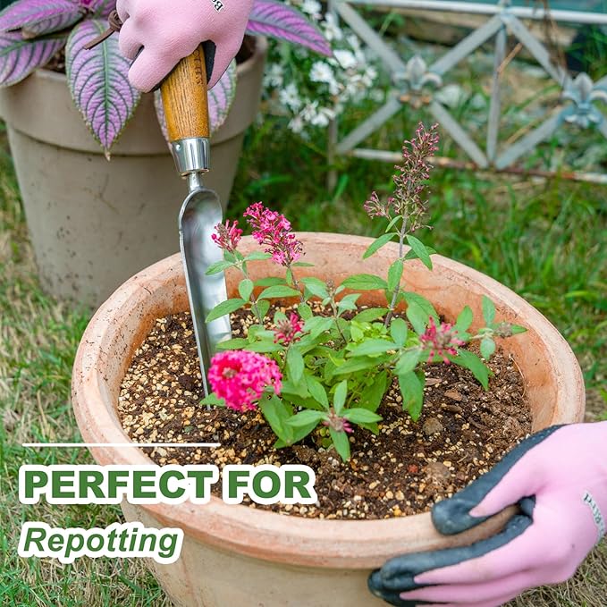 Haliaeetus Seeding Widger, Stainless Steel Garden Planting Trowel for Repotting, Long and Narrow Widger for Weeding from Tight Areas, Hand Transplanter with Wood Handle for Planting, Weeding, Digging