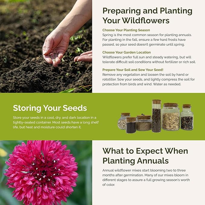 Eden Brothers Pink Perfection Flower Mixed Seeds for Planting, 1 lb, 480,000+ Seeds with Zinnia, Cosmos Versailles | Attracts Pollinators, Plant in Spring or Fall, Zones 3, 4, 5, 6, 7, 8, 9, 10