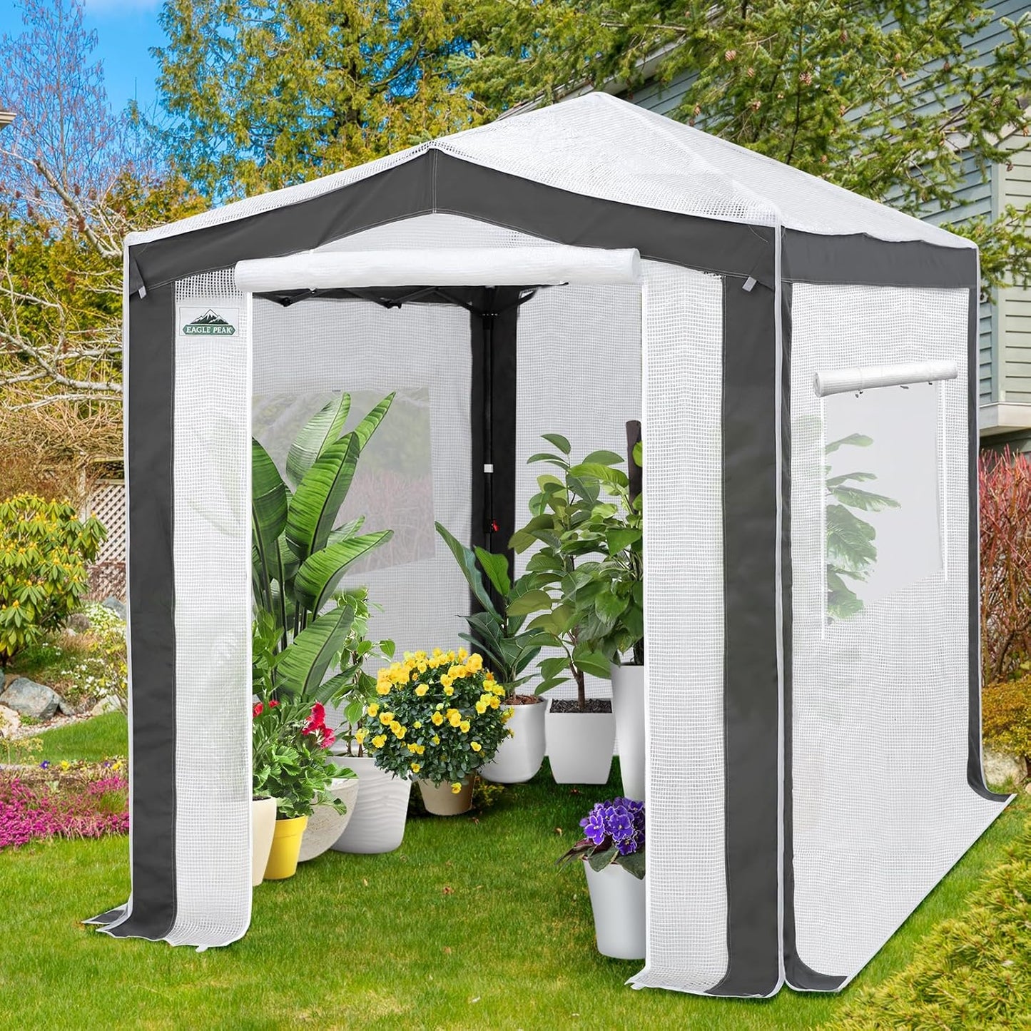 EAGLE PEAK 8x6 Portable Walk in Greenhouse with Polyester Reinforced Corners, Instant Pop Up Indoor Outdoor Gardening Green House, Roll Up Zipper Entry Doors and Mesh Windows, Gray/White
