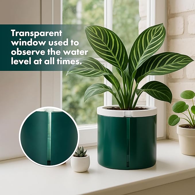 D'vine Dev 8 Inch Design Self Watering Planter for Indoor Plants, White Terracotta Pot with Teal Cylinder Glass Cup, 37-X-C-5